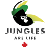 Jungle Tea